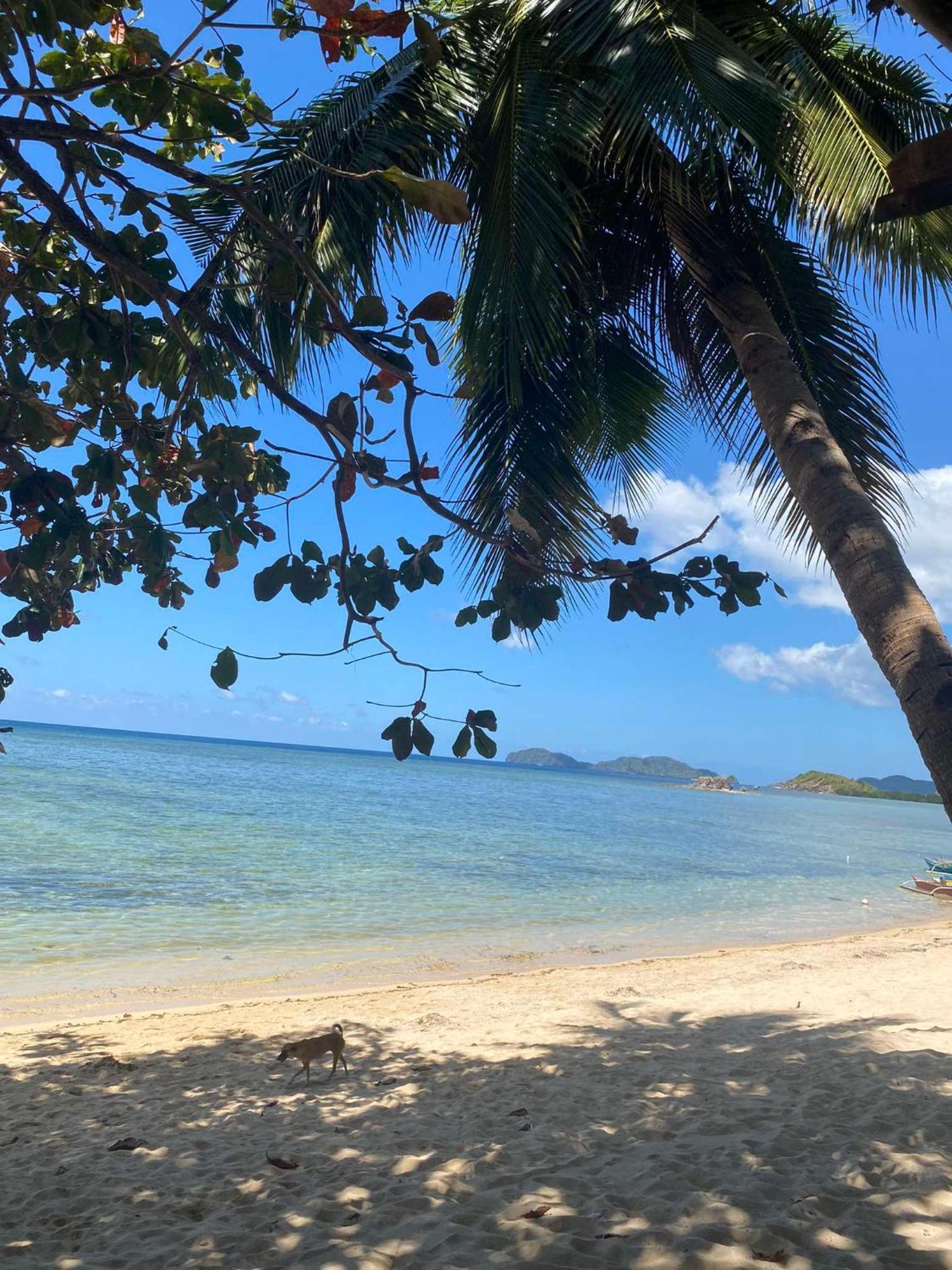 Ocam Ocam Open Sea View New Busuanga